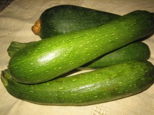 zucchini bounty