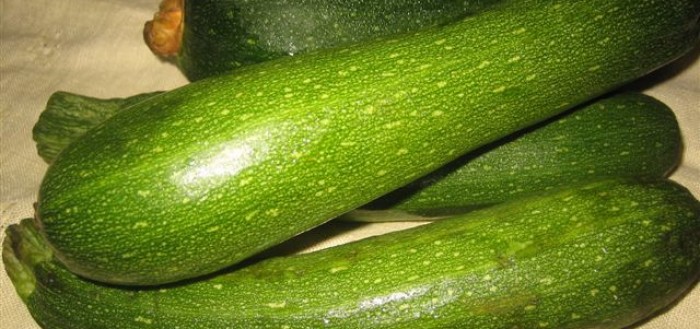 zucchini bounty
